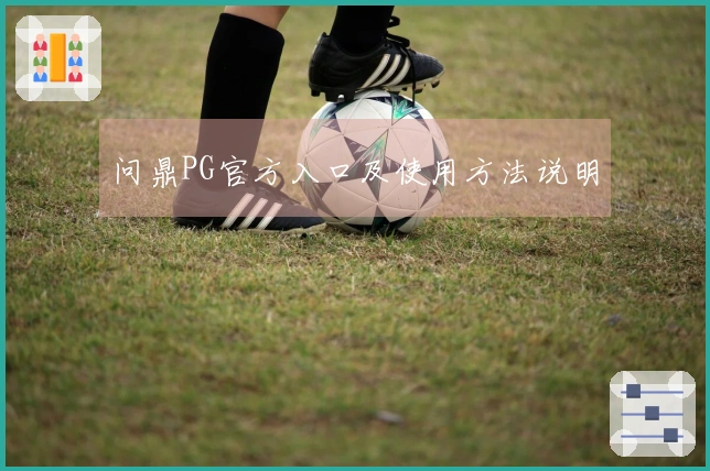 问鼎PG官方入口及使用方法说明