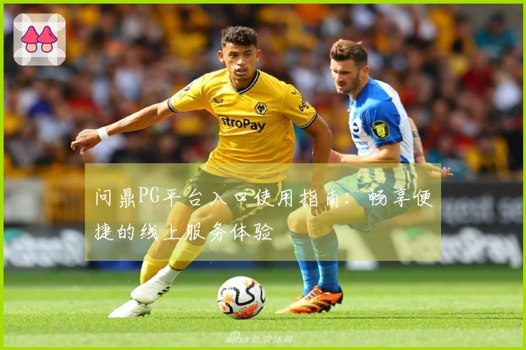 问鼎PG平台入口使用指南：畅享便捷的线上服务体验