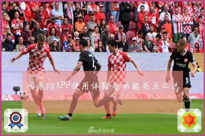 问鼎pgAPP使用体验与功能亮点汇总