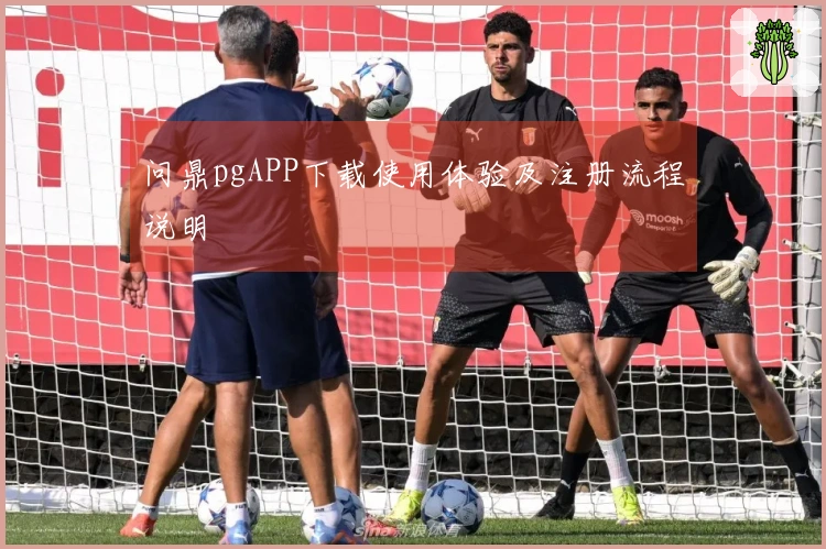 问鼎pgAPP下载使用体验及注册流程说明