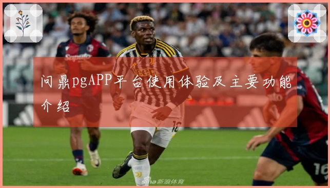 问鼎pgAPP平台使用体验及主要功能介绍