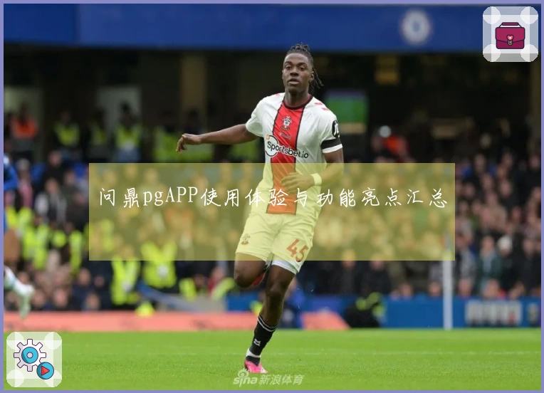 问鼎pgAPP使用体验与功能亮点汇总