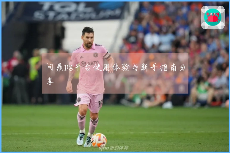 问鼎pg平台使用体验与新手指南分享